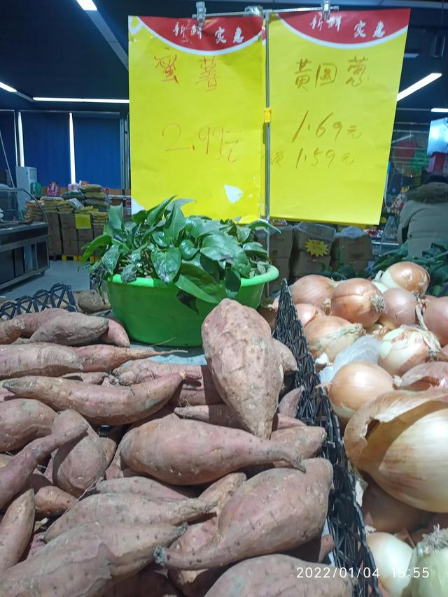 最新地瓜價(jià)格解析，查詢(xún)指南與任務(wù)攻略