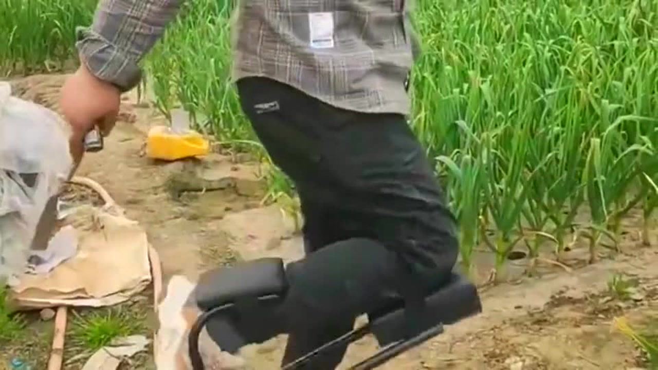 最新挖蒜工具，心靈與自然的完美交融