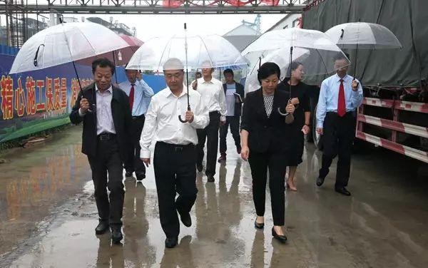 最新金丹科技引領(lǐng)科技新潮流，開啟未來之門！