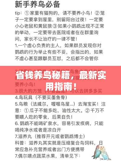 最新養(yǎng)鳥(niǎo)法規(guī)解析，觀點(diǎn)闡述與深度探討