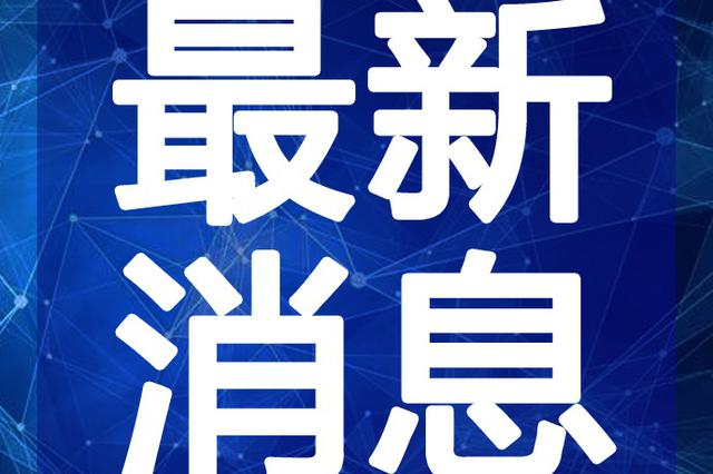 最新半仙視頻深度解析與觀點闡述，揭秘內(nèi)容魅力與獨特之處