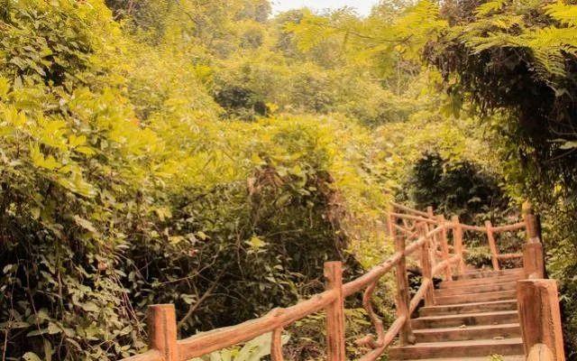 小99最新，科技、生活與娛樂的交融之地