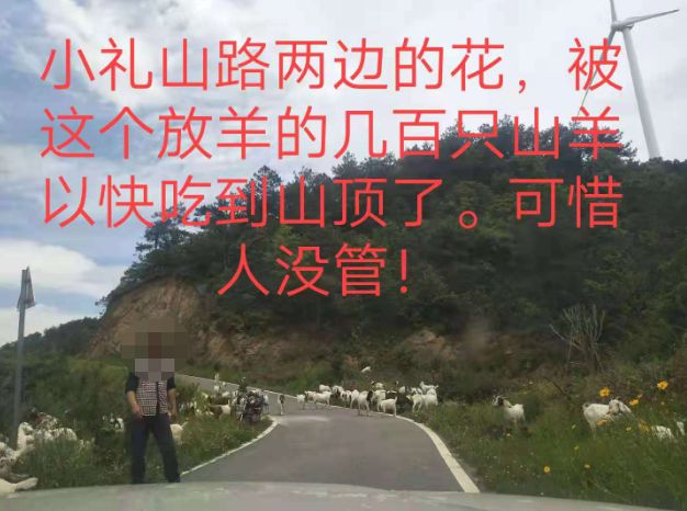 大悟最新路，探索未知，自信成就夢想之旅的啟程