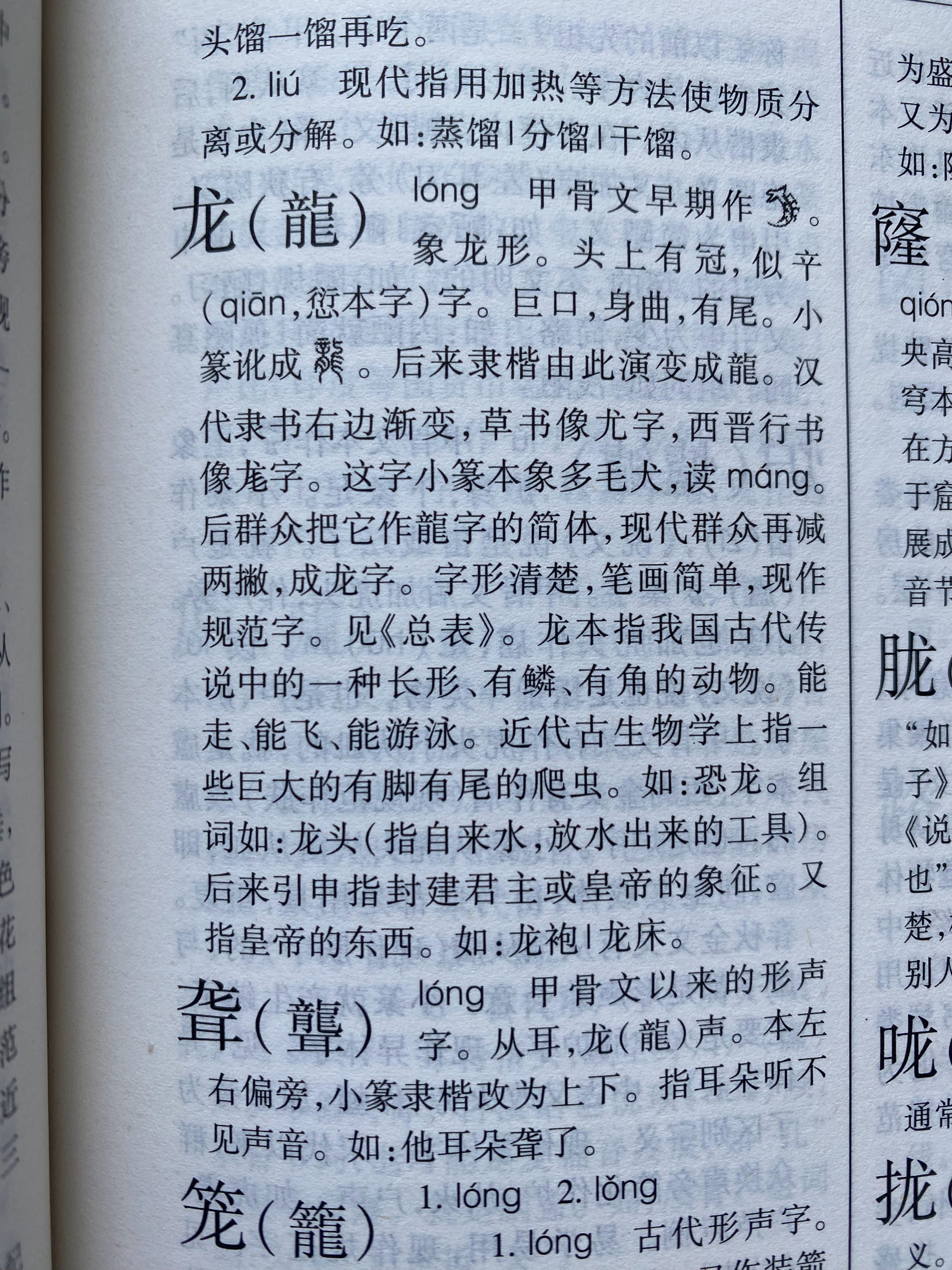 龍組詞最新，探索神秘詞匯世界，領略龍的魅力詞匯