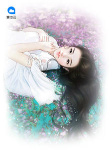 最新豪婿，小巷深處的獨(dú)特風(fēng)情