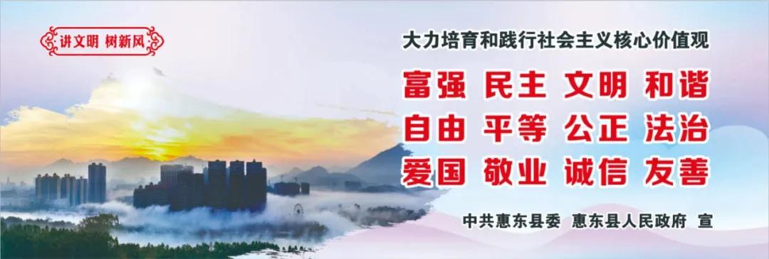 惠州肺炎最新動態(tài)，小巷深處的獨特小店背后的故事