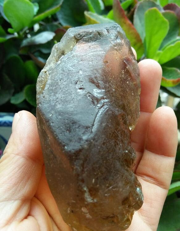 最新鑒定法，揭示友情的印記與家的溫馨