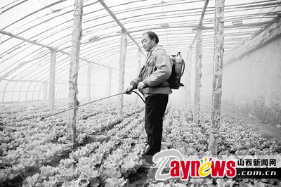 最新農(nóng)藥抽檢結(jié)果出爐，守護(hù)農(nóng)田安全，你我他的共同責(zé)任