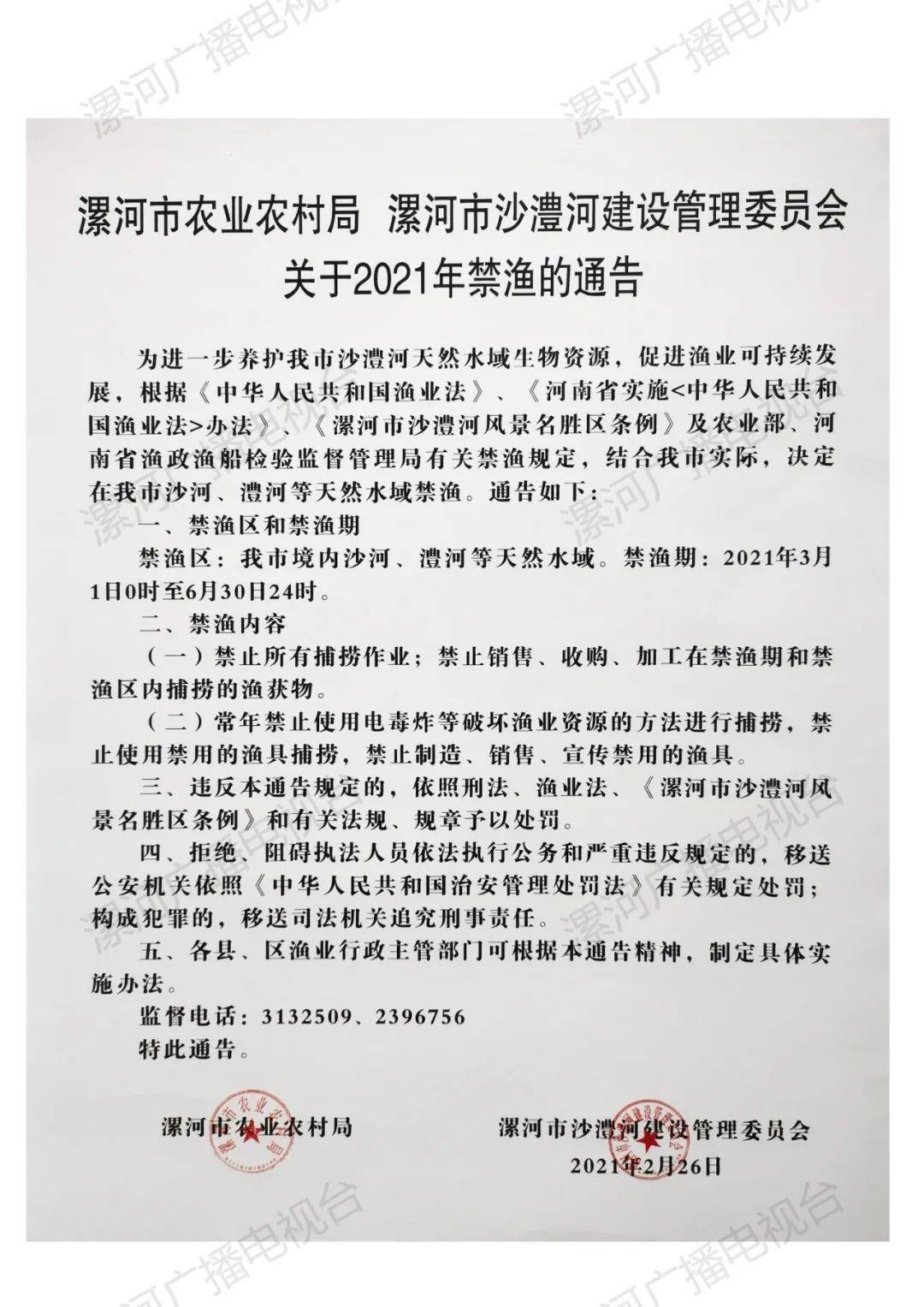 漯河最新通告，探索自然美景，尋覓內(nèi)心寧靜與平和之旅