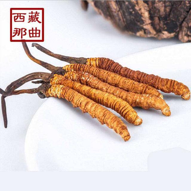 揭秘2025年蟲草最新價格，探尋小巷中的秘密行情！