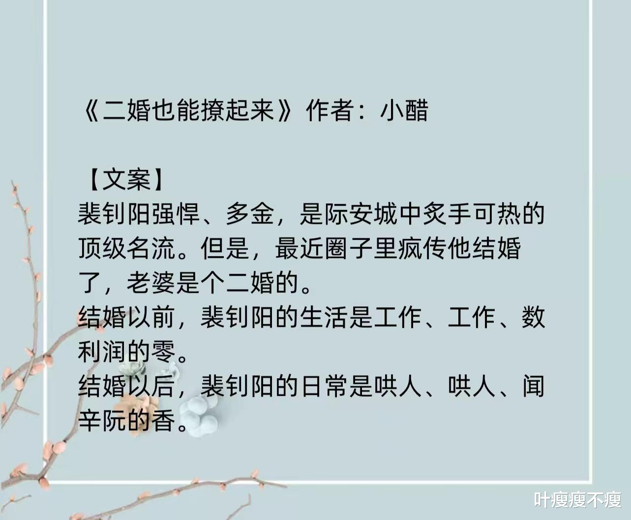 最新二婚小說(shuō)，小巷深處的浪漫故事